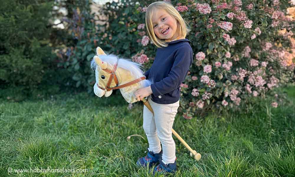 hobby horse à roulette